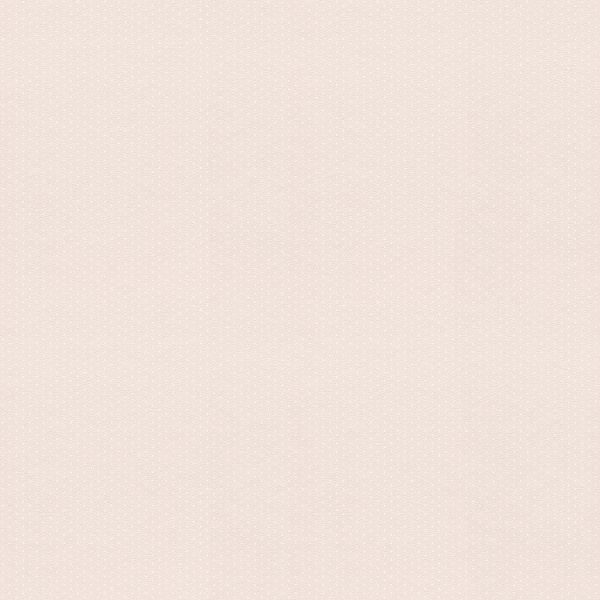 288857 Oбои