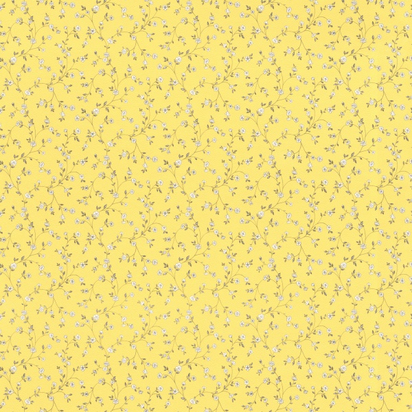 289206 Wallpaper
