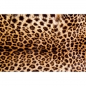 MS-5-0184 Leopard Skin