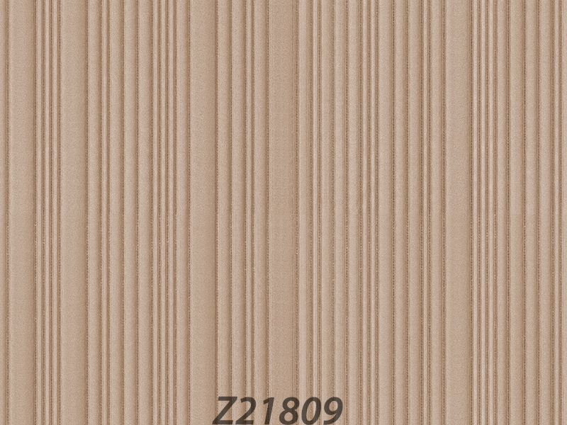 Z21809 Wallpaper (TV)