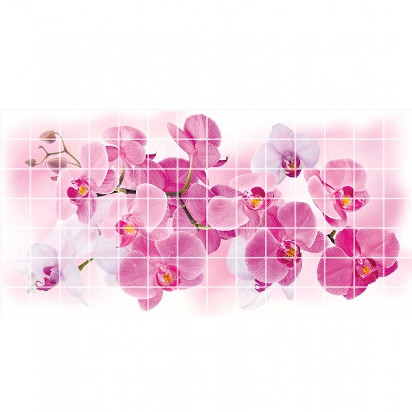 PVC panelis TP10018768 Rožu orhideja 