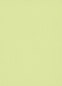 10133-07 Tapete (TV)