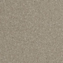 2013-1 NFE Vario linolejs