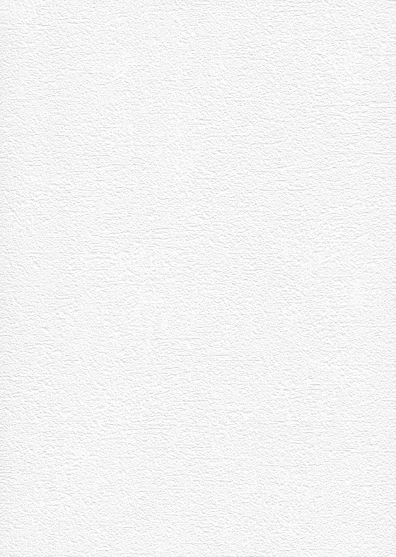 2101 Wallpaper