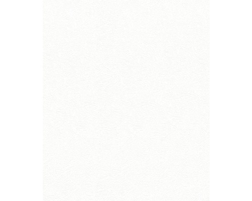 9226 Wallpaper
