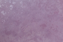HC 71542-54 Tapete (TV)