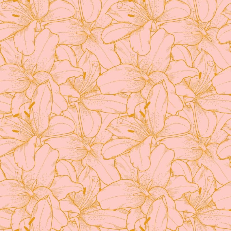 Rozā lilijas