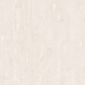 100411 Tapete