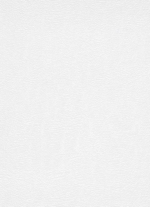 11007-01 / 11007-10 Обои