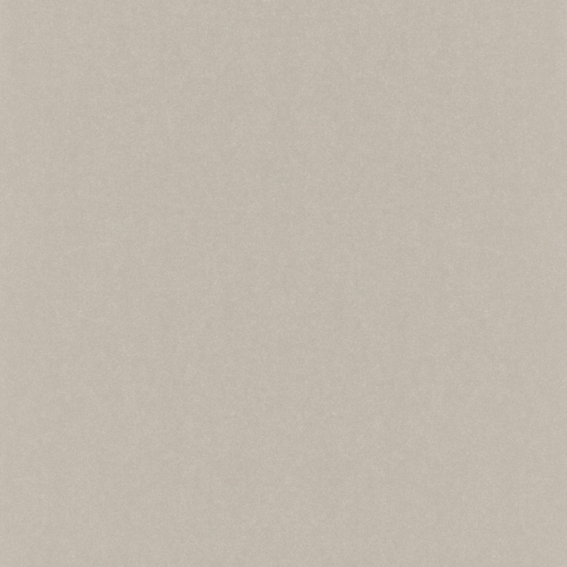 501179 Wallpaper